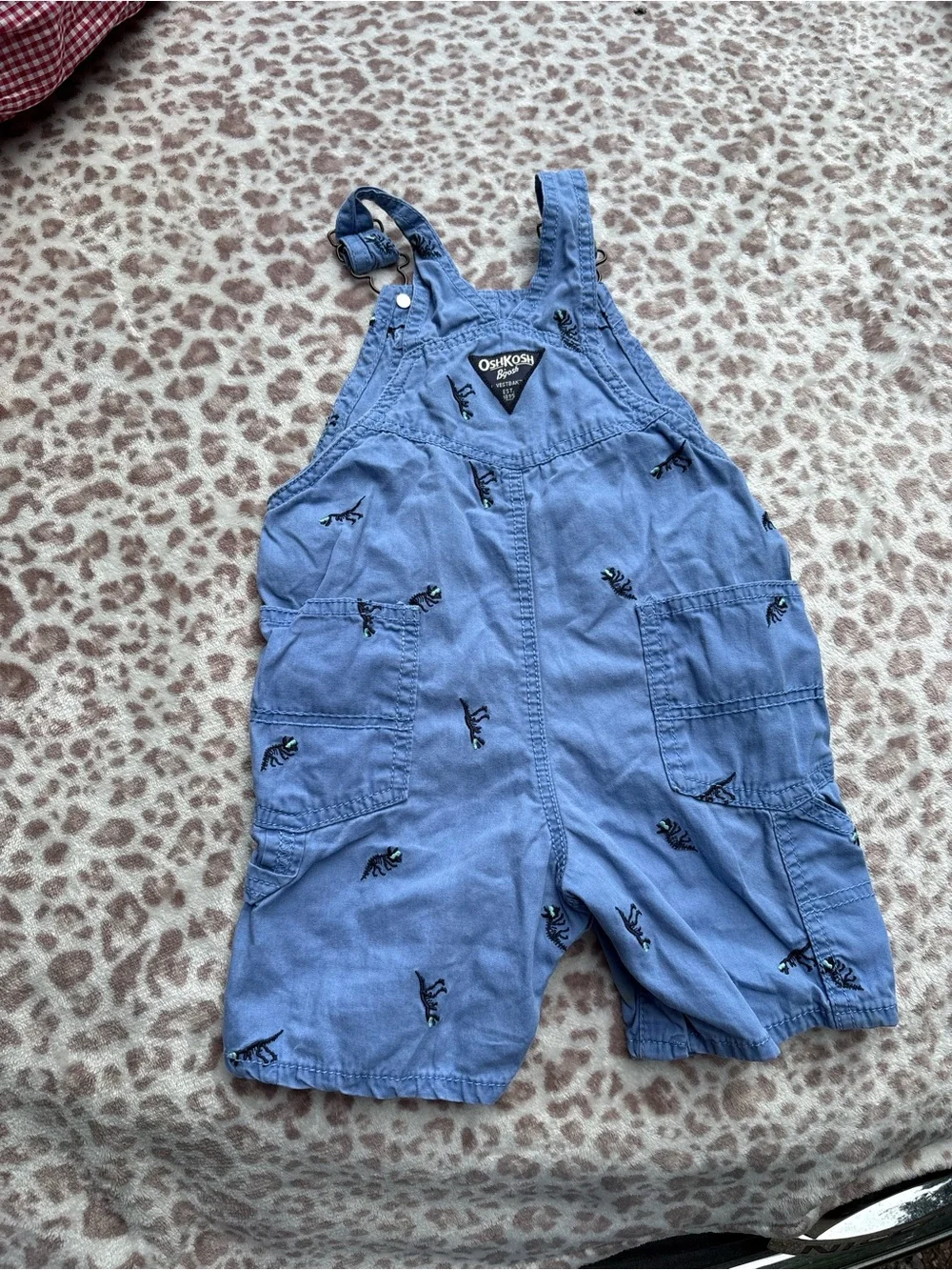 OshKosh Bgosh stains from